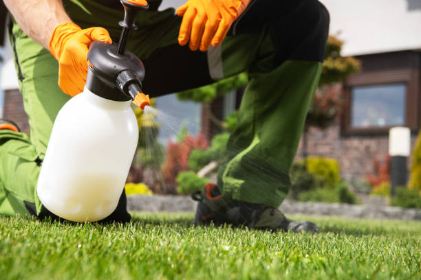 Pest Control for Hotels in Olney, IL